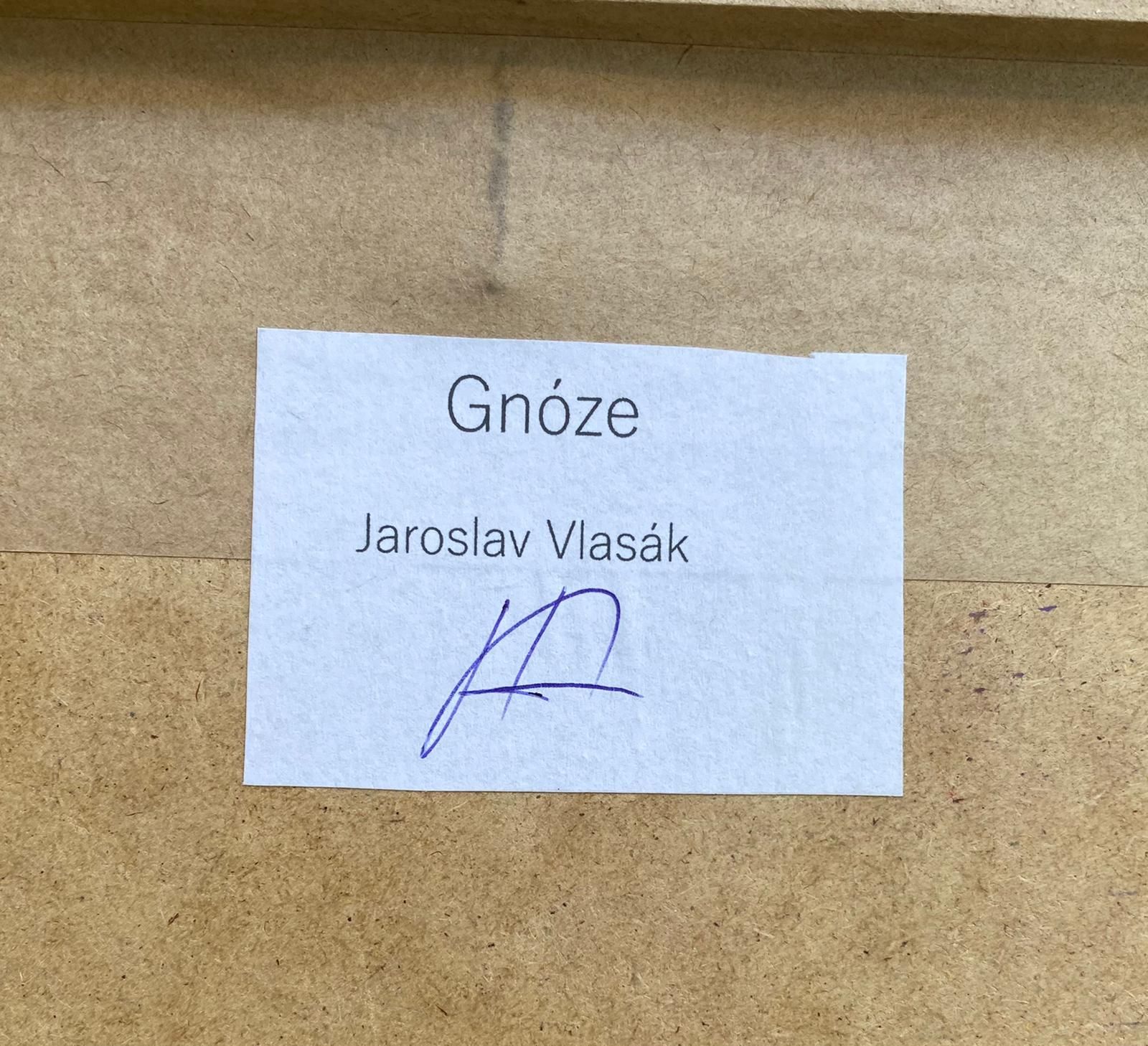 Vlasák Jaroslav- Gnóze