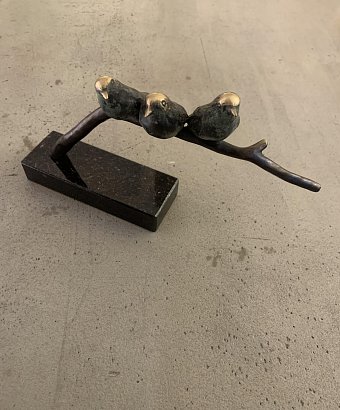 Cholewa Jacek - Ptáčci